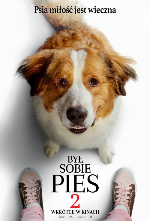,,Był sobie pies” po raz drugi